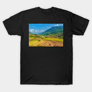 Harvesting. T-Shirt